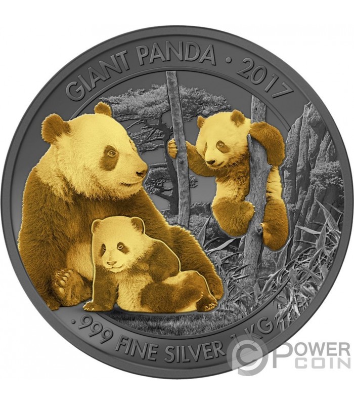 bonen Knooppunt Klimatologische bergen GIANT PANDA Golden Enigma 1 Kg Kilo Silver Coin 1000 Francs Cameroon 2017