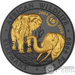 Nature Coin African Elephant – YON (ヨン）| 公式オンラインサイト