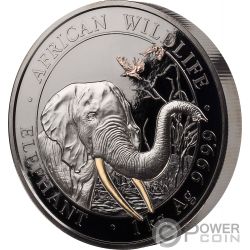 GOLDEN ENIGMA Elephant African Wildlife Black Ruthenium 1 Oz