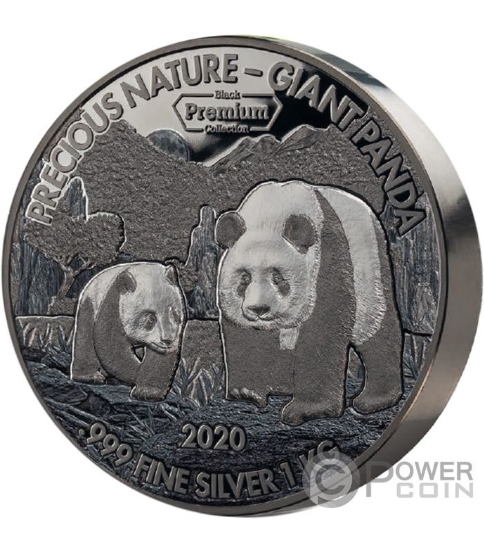 verkoopplan schraper Lagere school GIANT PANDA Precious Nature Palladium Rhodium 1 Kg Silver Coin 10000 Francs  Benin 2020