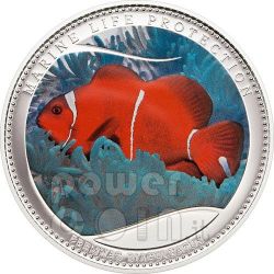 Palau 2012 $5 Marine Life Protection Blue Ringed Octopus 25g Silver Proof Coin
