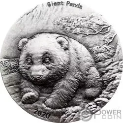 2017 $50 Canada 10 Oz Silver Grizzly BU Coin .999 Silver