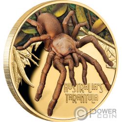 Australia 2020 1$ RedBack Spider /"THE WORLD/" 1 Oz Ruthenium Silver Coin