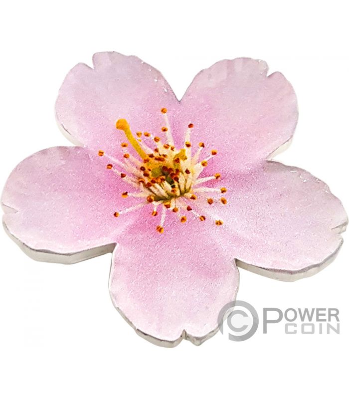 CHERRY BLOSSOM Shape World Enchanting Flower 1 Oz Silver
