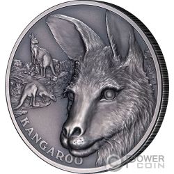 KANGAROO Canguro Wildlife Up Close 1 Oz Moneta Argento 1$ Niue 2021
