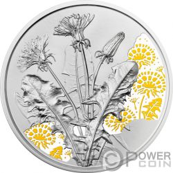DANDELION Language Of Flowers Данделион 1/2 Oz серебряная монета 10€ евро Австрия 2022