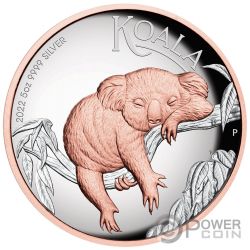 2 oz NON VI VIRTUTE VICI  Copper Round  MINI MINTAGE  #62  Silver Shield 