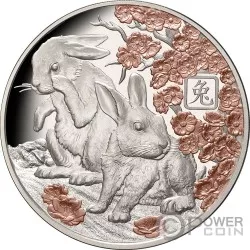 RABBIT Lunar Year 5 Oz Silver Coin 10$ Solomon Islands 2023