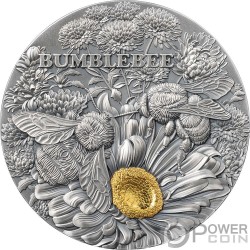 BUMBLEBEE Nature Architects Шмель 2 Oz Серебро Монета 10 Седи Гана 2023