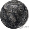 LION CUB Relief Magnifique 2 Kg Moneda Plata 20000 Francos Benin 2023