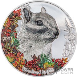 CHIPMUNK Woodland Spirit Ardilla 1 Oz Moneda Plata 500 Togrog Mongolia 2023