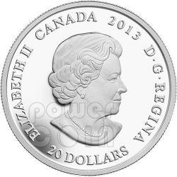 Maple Leaf Impression Green Enamel Silver Coin Canada 14 Power Coin