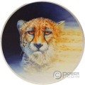 ASIATIC CHEETAH Endangered Animals 3 Oz Silber Münze 20$ Palau 2023