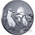 FAIRY PENGUIN Australia at Night 1 Oz Серебро Монета 1$ Ниуэ 2024
