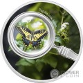 PAPILIO MACHAON Butterflies Schmetterlinge Silber Münze 500 Francs Cameroon 2024
