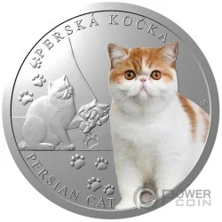 BRITISH SHORTHAIR Cat Breeds 1 Oz Silver Coin 1$ Niue 2024