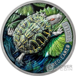 【35％OFF】 Journey Lifelong TURTLE SEA LOGGERHEAD 2 2 Coin Silver Oz ディスプレイ・モニター本体