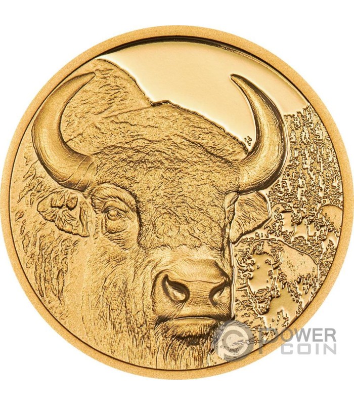 2022 1/10 oz Proof Mongolia Gold Magnificent Argali Coin l