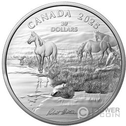 MUSTANG COUNTRY Moneta Argento 30$ Canada 2025
