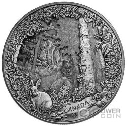 PREDATOR OR PREY IN SHADOW BOX Серебро Монета 175$ Канада 2025