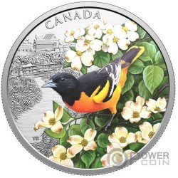 BALTIMORE ORIOLE Colourful Birds 1 Oz Серебро Монета 20$ Канада 2025