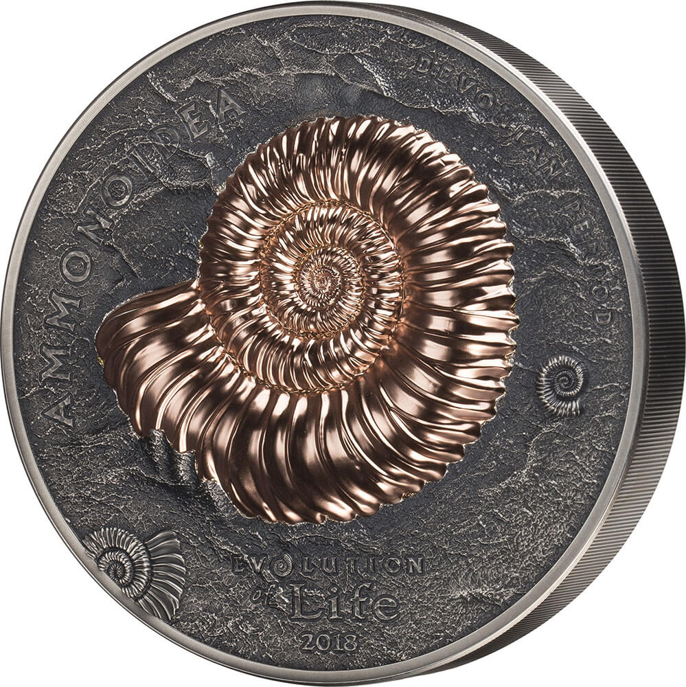 Ammonite reverse