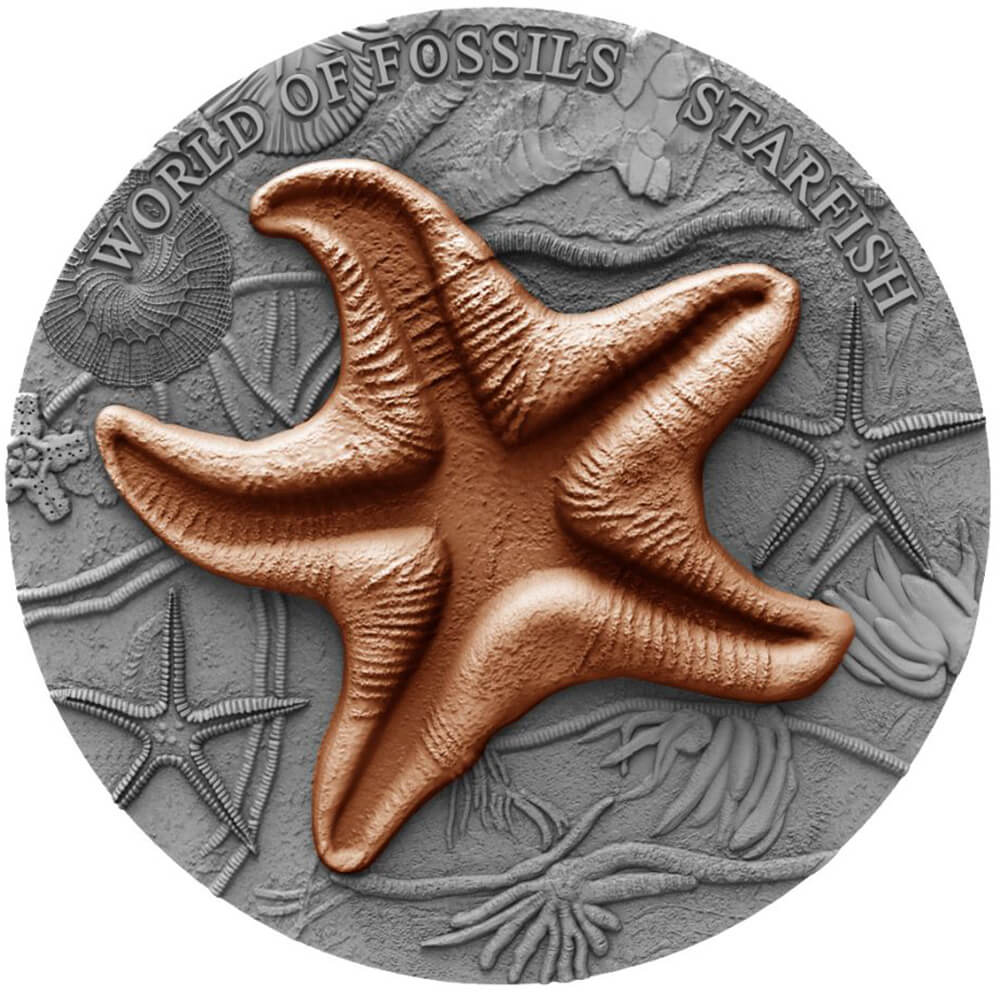 Starfish reverse