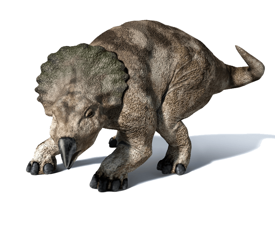 Protoceratops