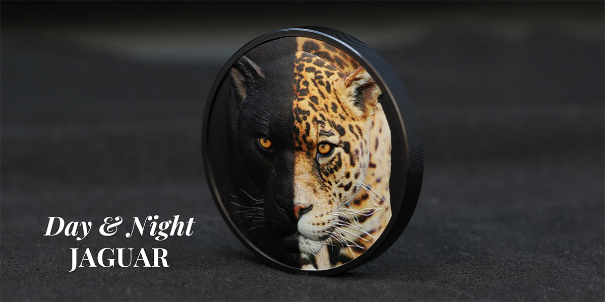 Jaguar, Slider der Serie Day & Night