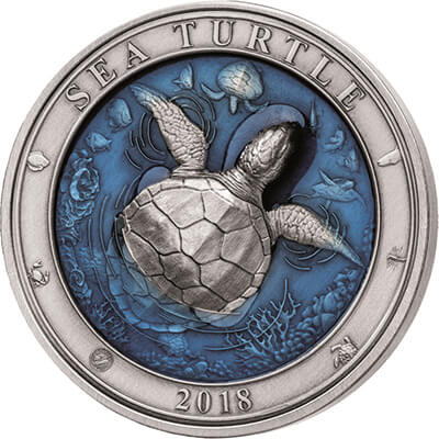 Sea Turtle Reverse