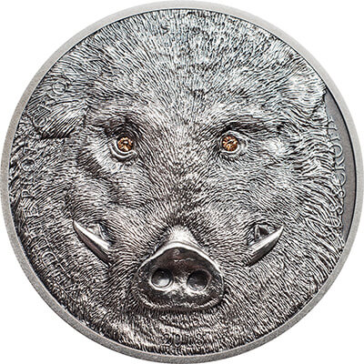 Wildboar Reverse