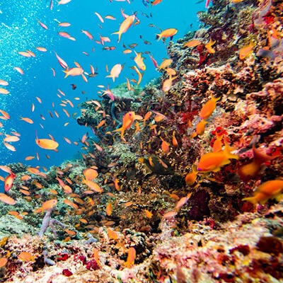 Great Barrier Reef