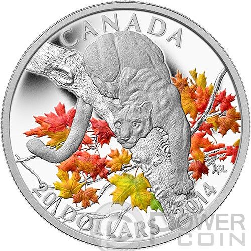 COUGAR Perched Maple Tree 1 oz Silver Proof Coin 20$ Canada 2014